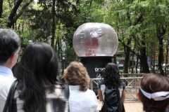 Te-vuelvo-a-marcar_017